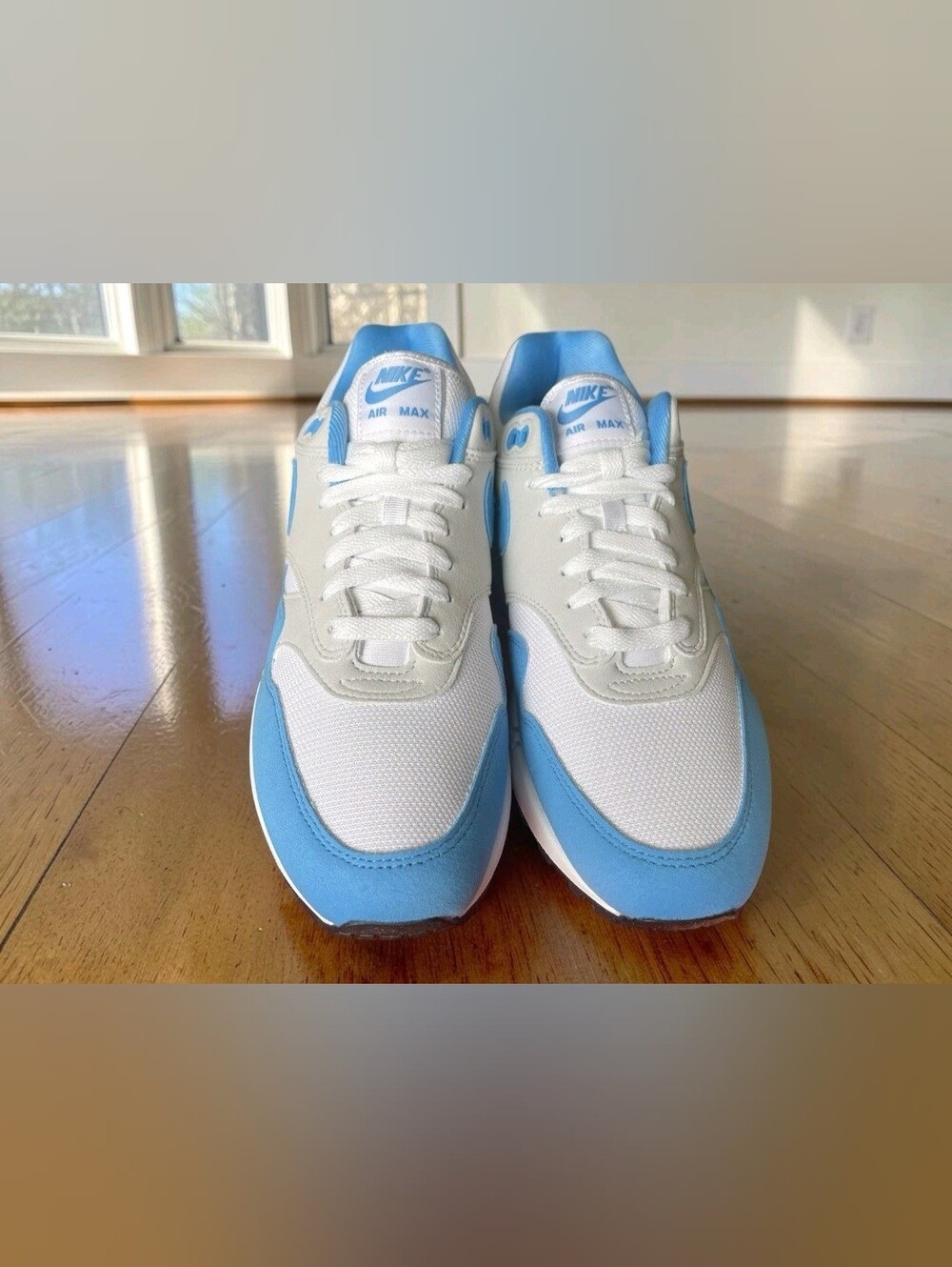 UNIVERSITY BLUE NIKE AIR MAX 1